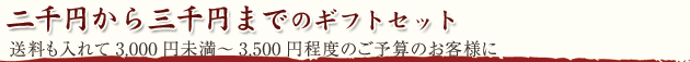 2,000�ߡ�3,000�ߤޤǤ�£���Ѿ������å�