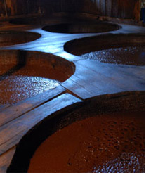 醤油の発酵風景