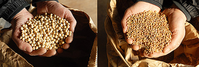 原料の大豆と小麦