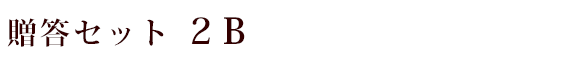 ギフト２B